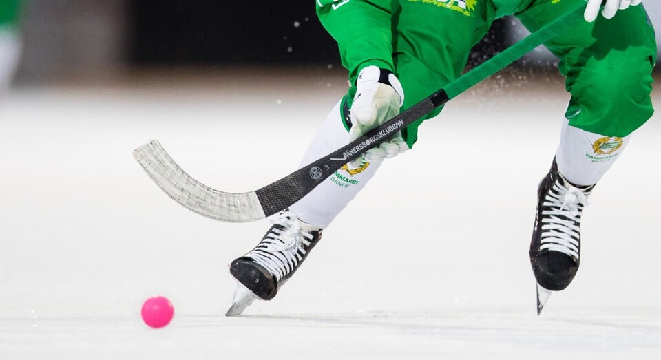 big_hockey_ball_ed